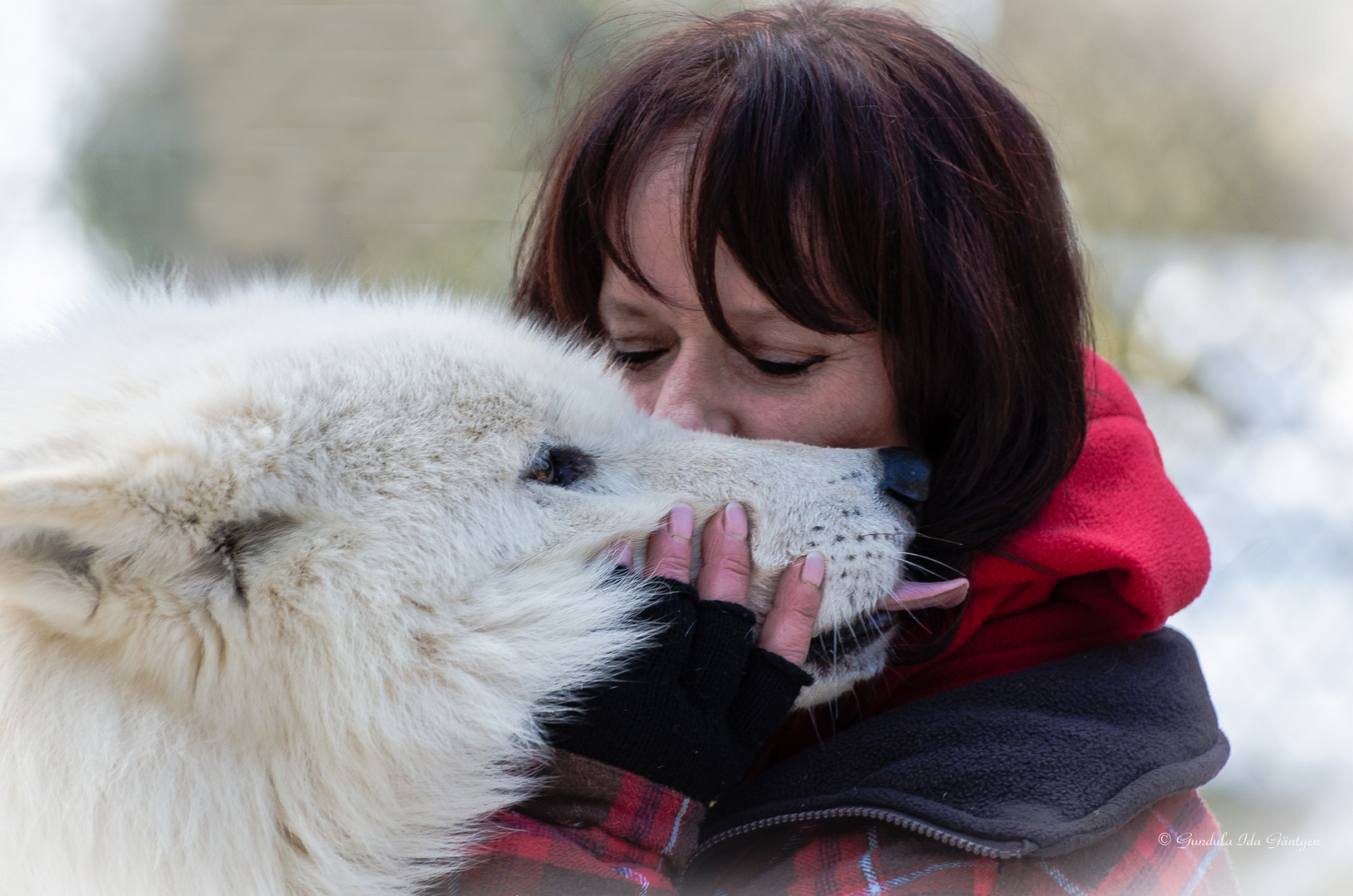 Keine Angst vor dem bösen Wolf