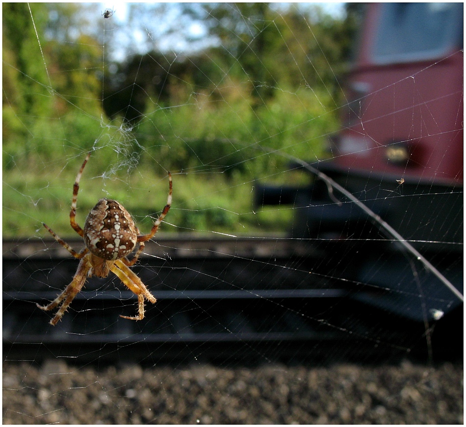 Keine Angst vor der Eisenbahn