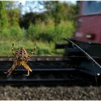 Keine Angst vor der Eisenbahn