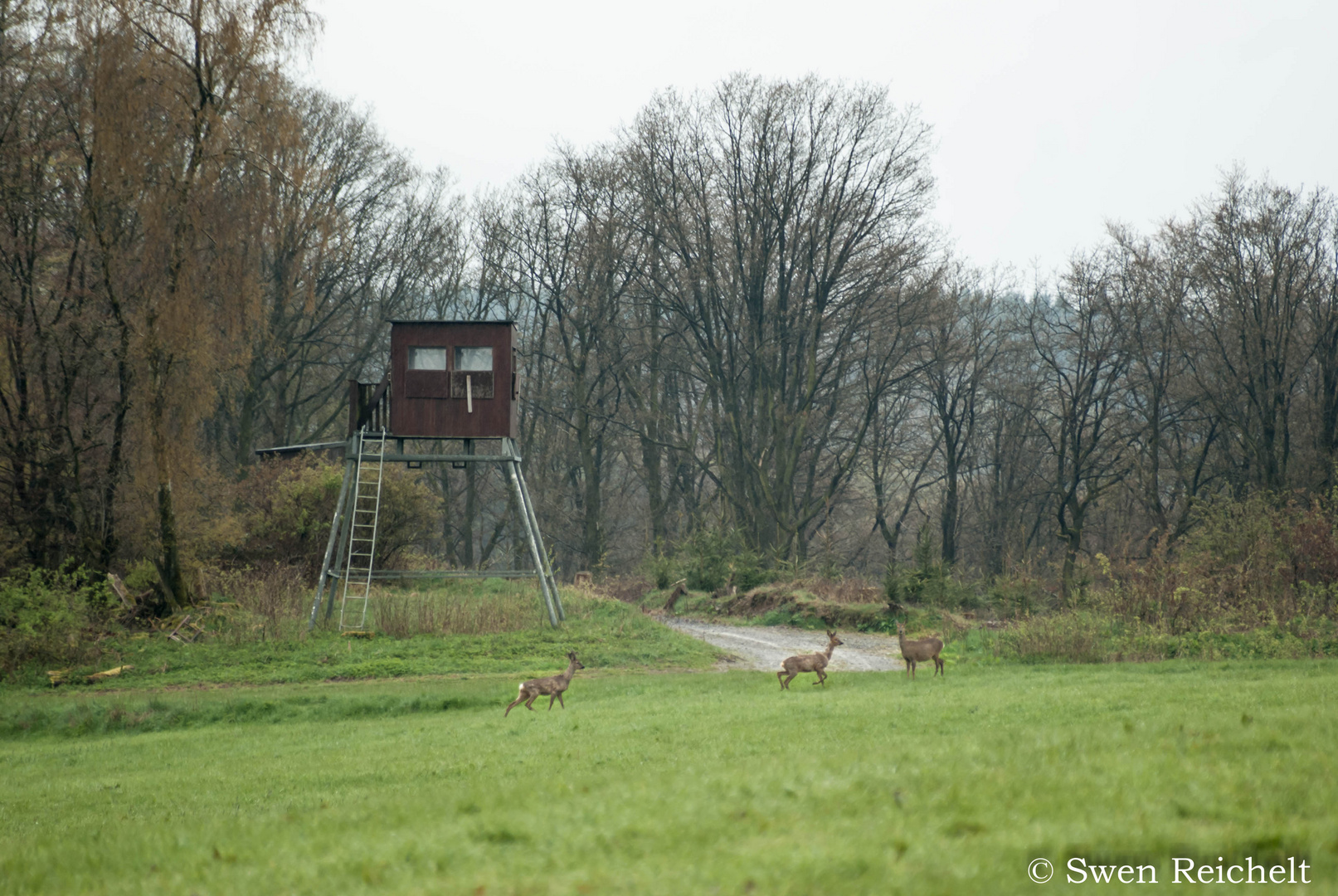 Keine Angst vor Jägern