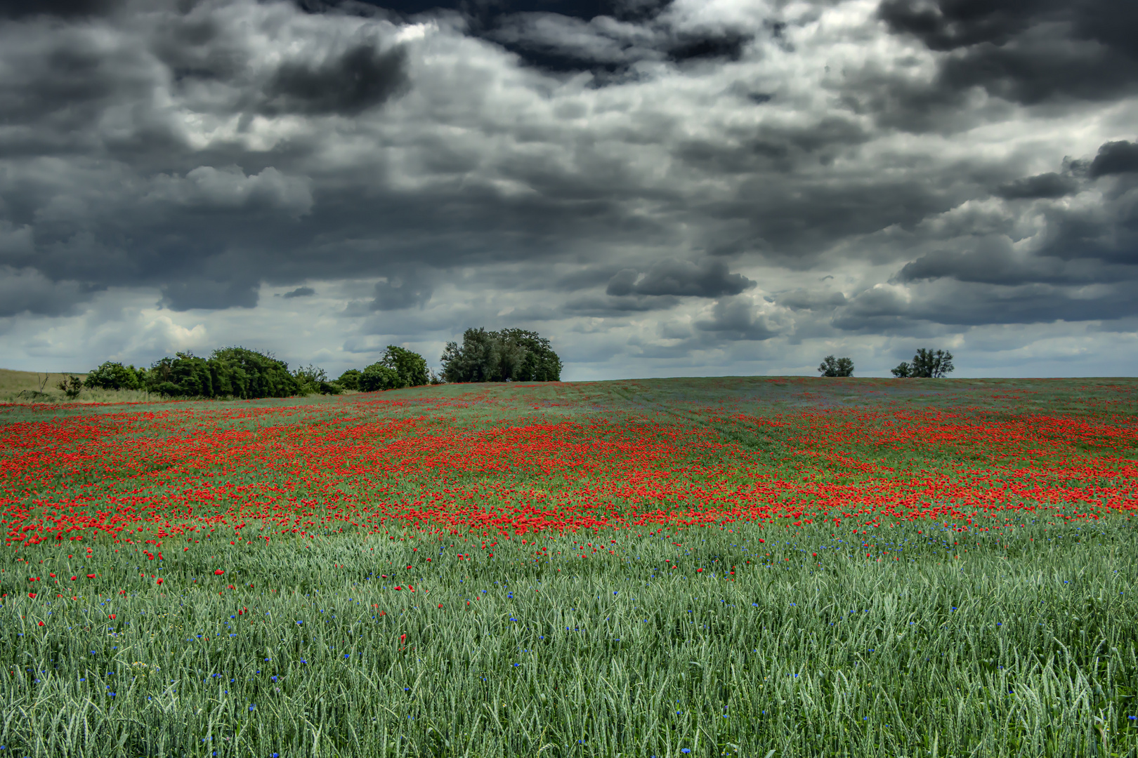 Keine Angst vor Wolken