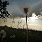 Keine Angst vorm Gewitter