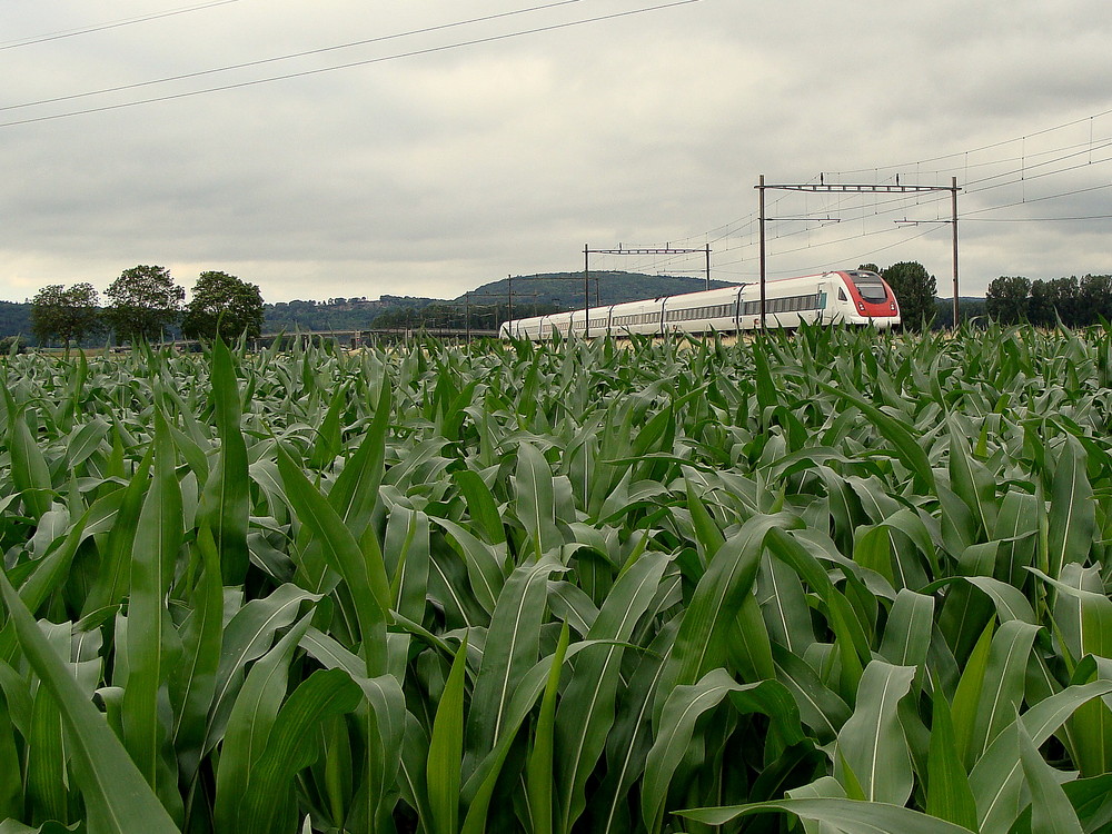 Keine Berge, im Flachland./ Pas de montagnes, dans le pays plat..02