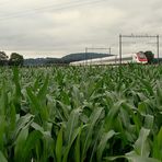 Keine Berge, im Flachland./ Pas de montagnes, dans le pays plat..02