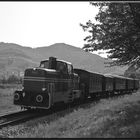 Keine Dampflok im Einsatz am 19.8.2012 [2]