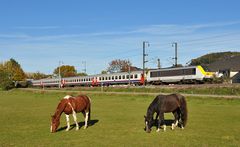 Keine Eisenbahnfreunde