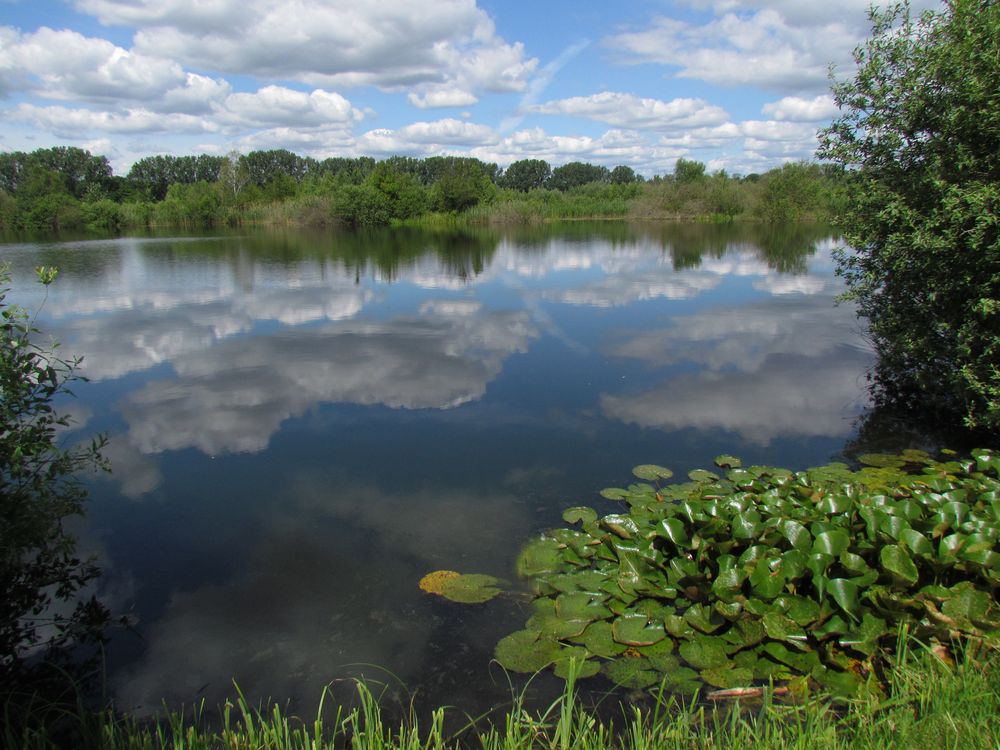 Keine Ente, kein Schwan, aber fotogene Wolken