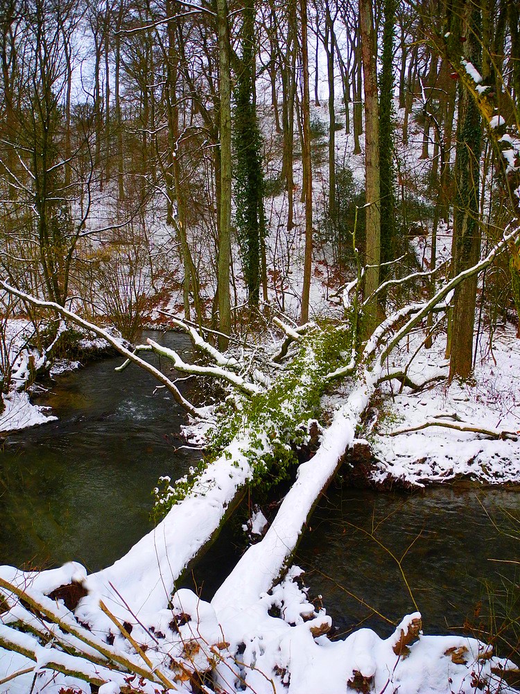 Keine Eselsbrücke . . .