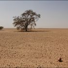 keine fotogenen dünen