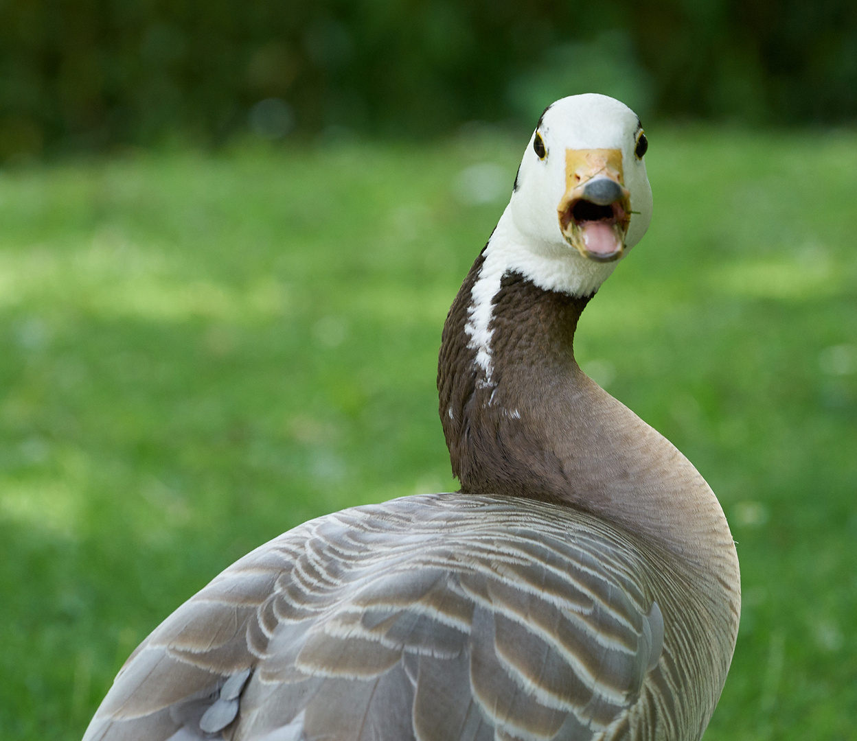 Keine Fotos! 