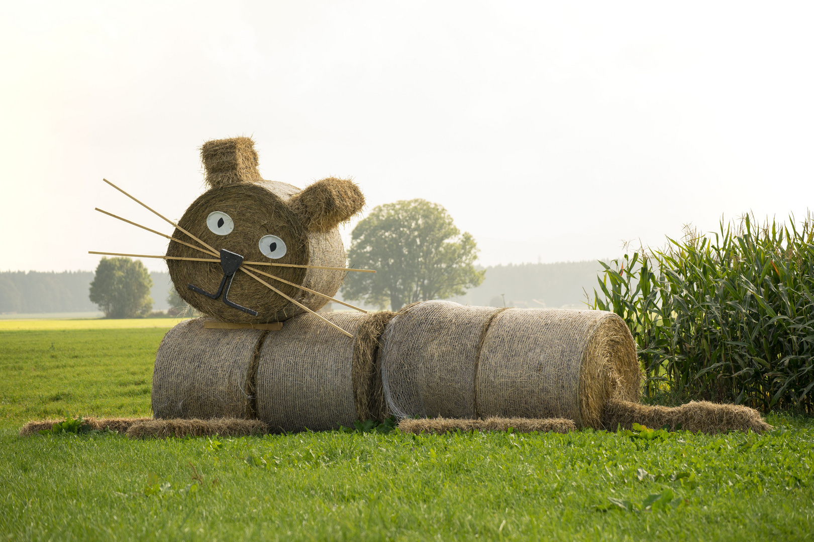 Keine Frage.......dieser Landwirt hat Kinder!