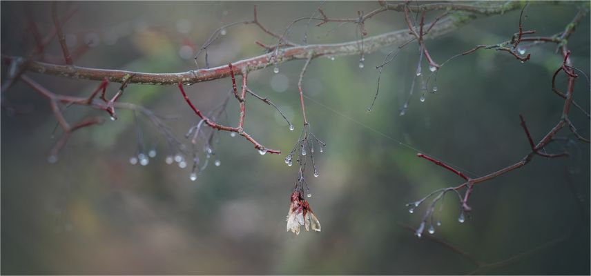 keine gefühlte Ewigkeit .....