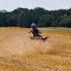 Keine landwirtschaftliche Arbeit!