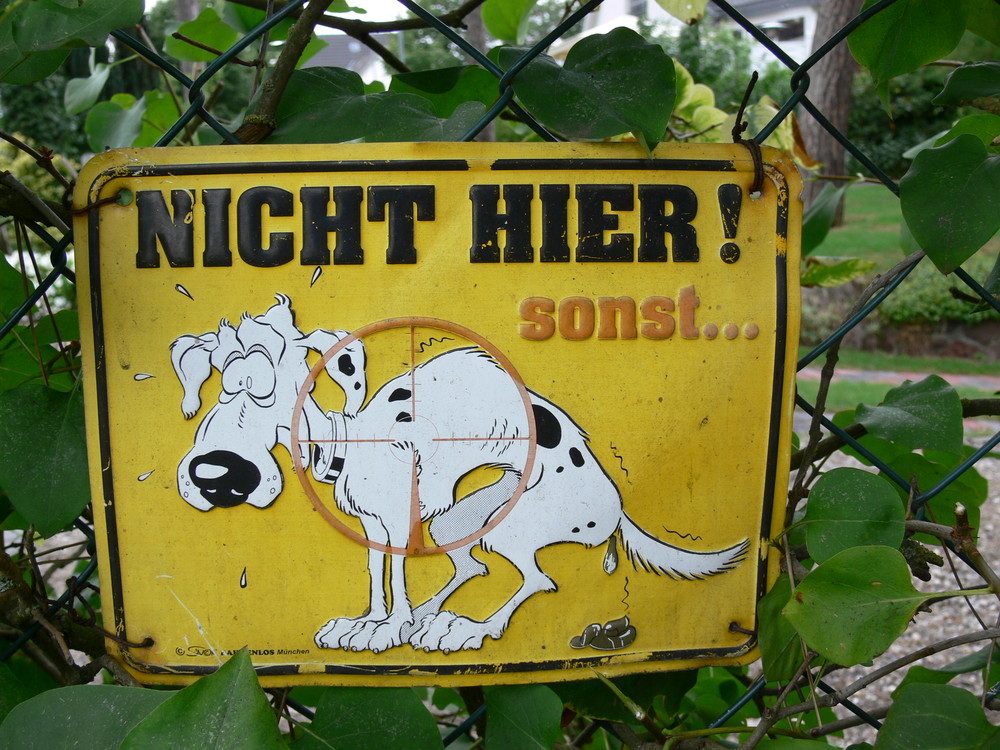 Keine lange Lebendserwartung für Hunde.