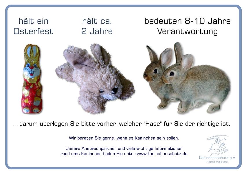 keine lebenden tiere als ostergeschenk!