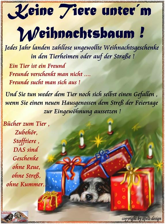 keine lebenden tiere als weihnachtsgeschenk!