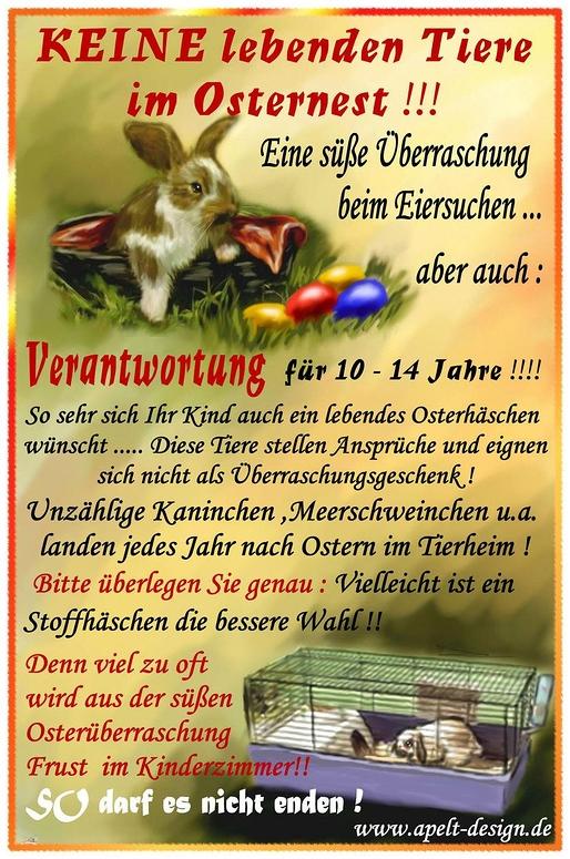 keine lebenden tiere ins osternest!