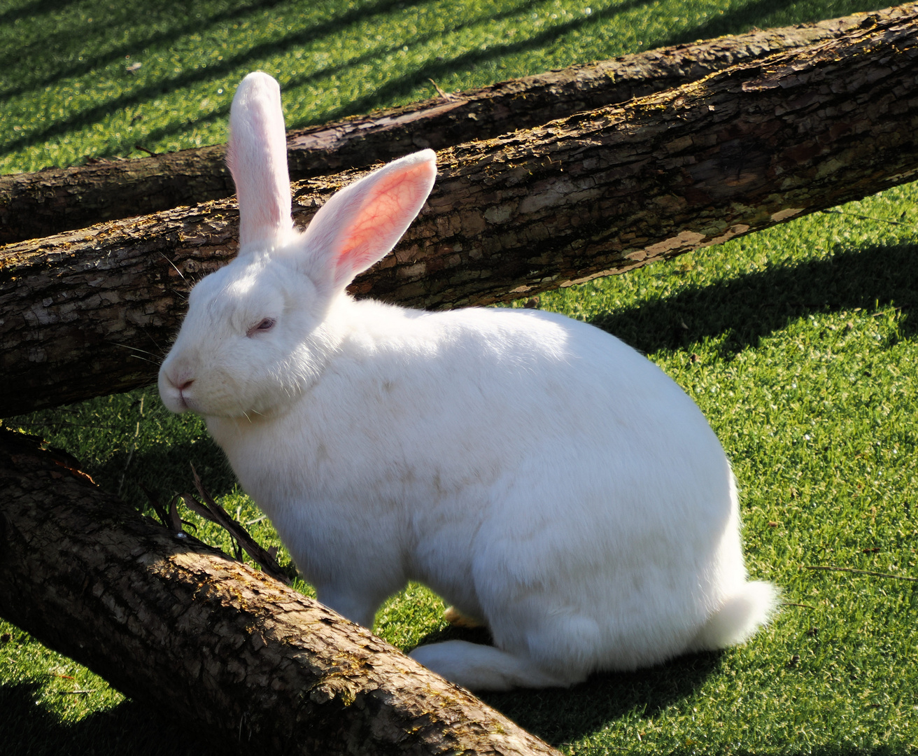 Keine Lust auf Ostern …