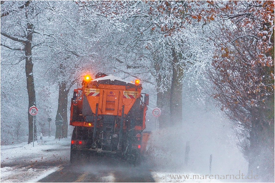 Keine Lust auf Winter