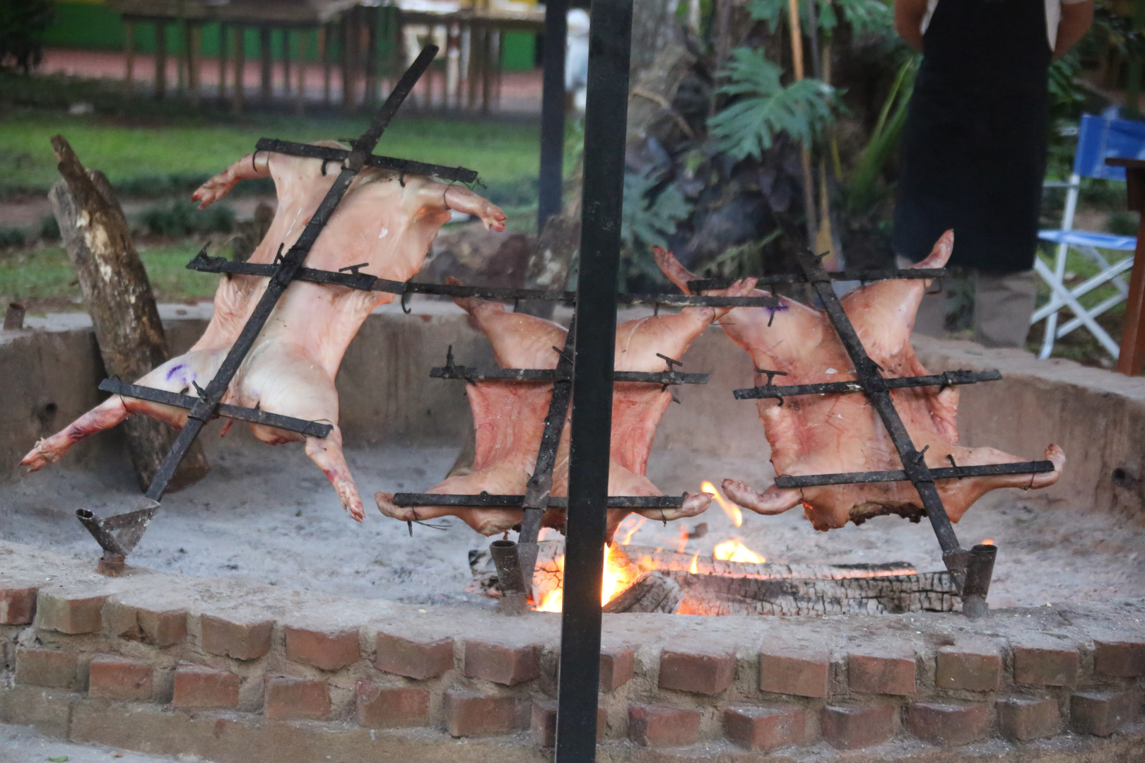 keine Maden sondern Fleisch