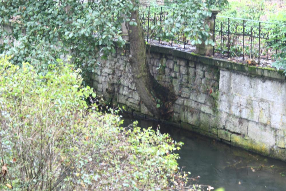 Keine Mauer hält mich auf