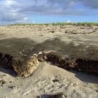 Keine Nordseeidylle