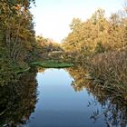 Keine Parklandschaft - Natur pur