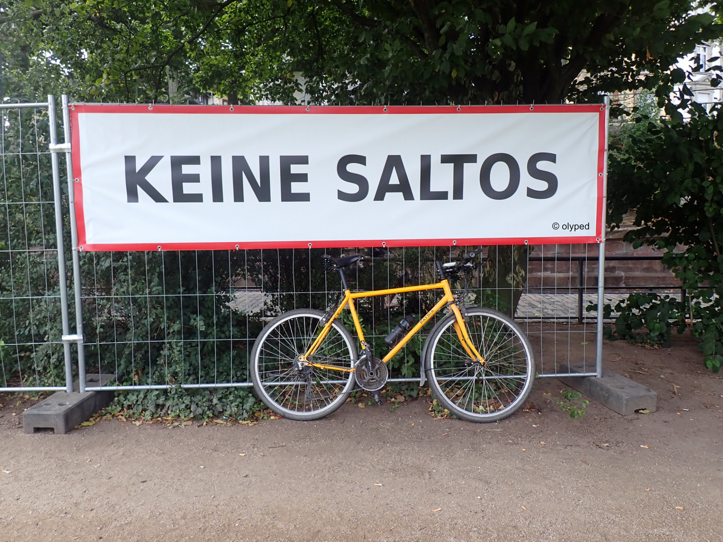 Keine Saltos