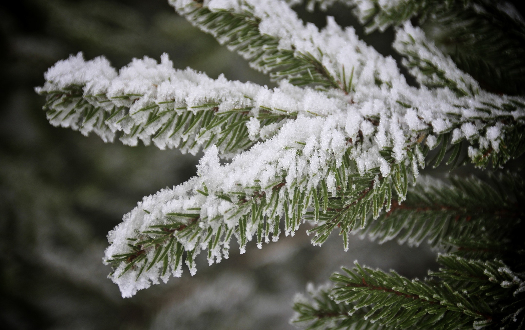 Keine Schneeflocke fällt jemals auf den falschen Platz