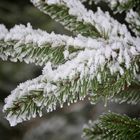 Keine Schneeflocke fällt jemals auf den falschen Platz