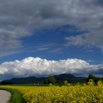 Keine Sonne auf der Alb...