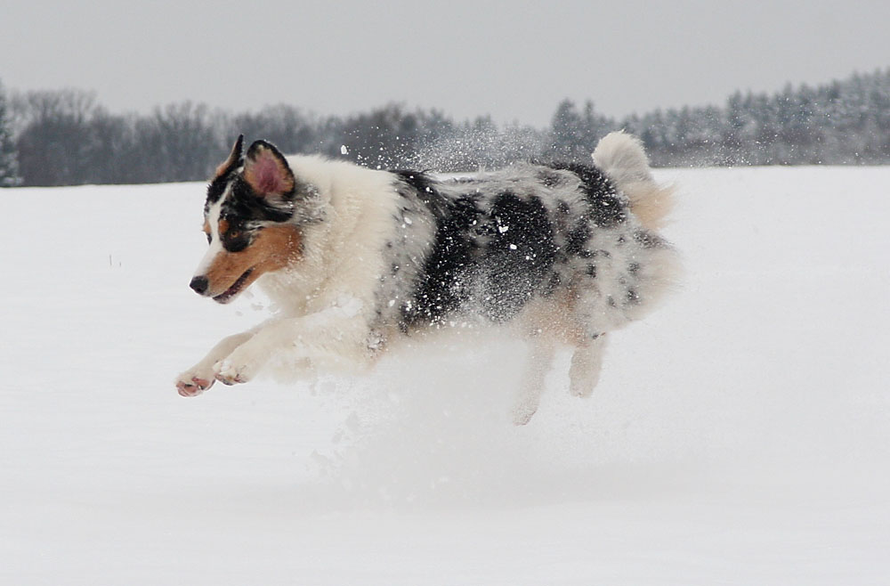 Keine Spur im Schnee....