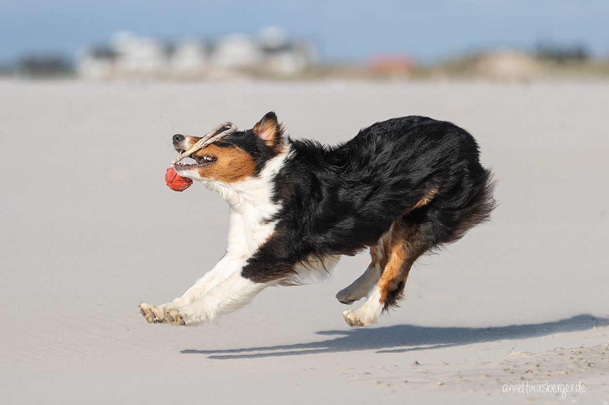 Keine Spuren im Sand...