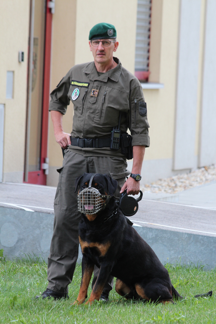 Keine Streichelhunde - Zugriffshunde/Kampfhunde