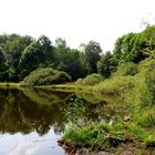 Keine Vorspiegelung falscher Tatsachen - Der Windsborn in der Eifel