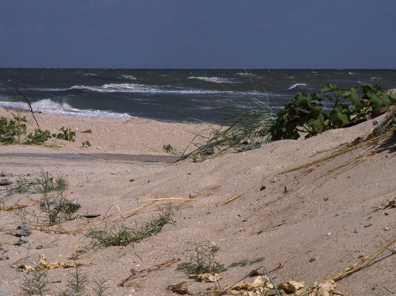 keine Windstille - Stille im Wind