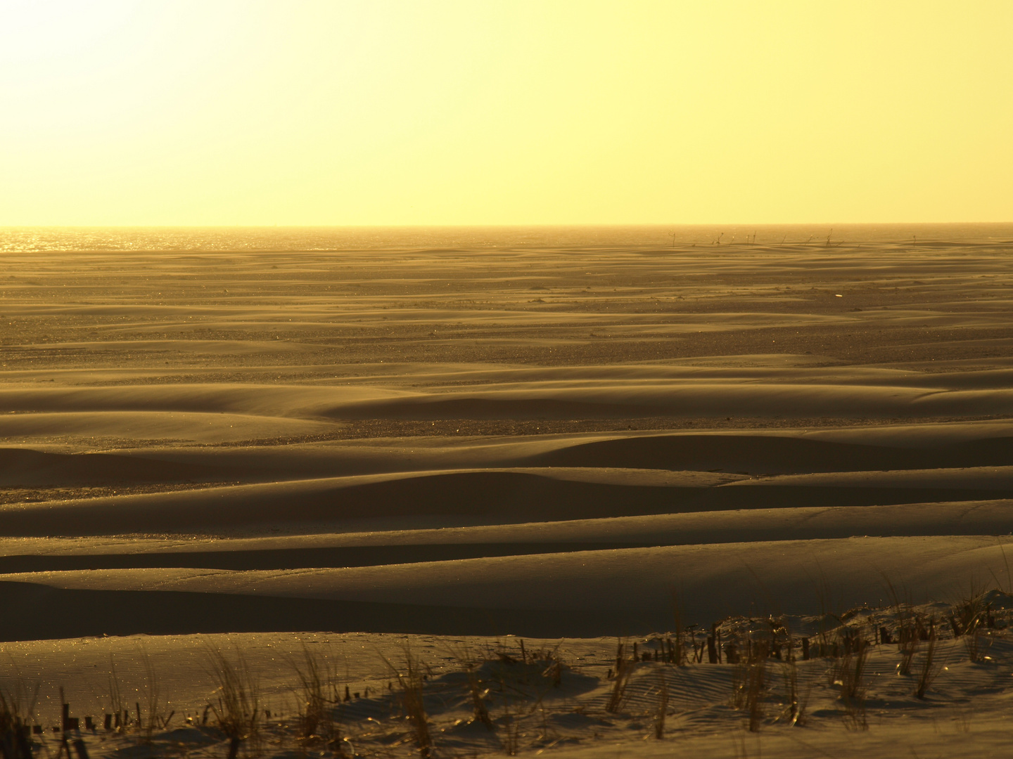 Keine Wüste, Amrum, Kniepsand