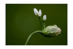 Keine Zeit