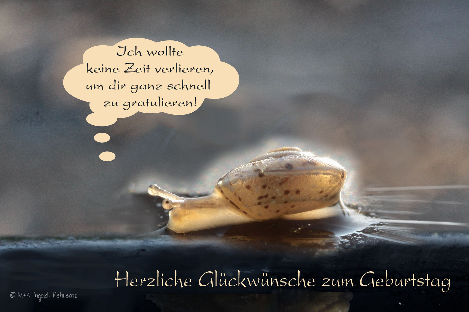 Keine Zeit verlieren... Foto & Bild gratulation und feiertage