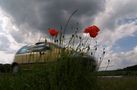 ~ Keine Zeit zum Blumen pflücken ~ von Liane Nagel