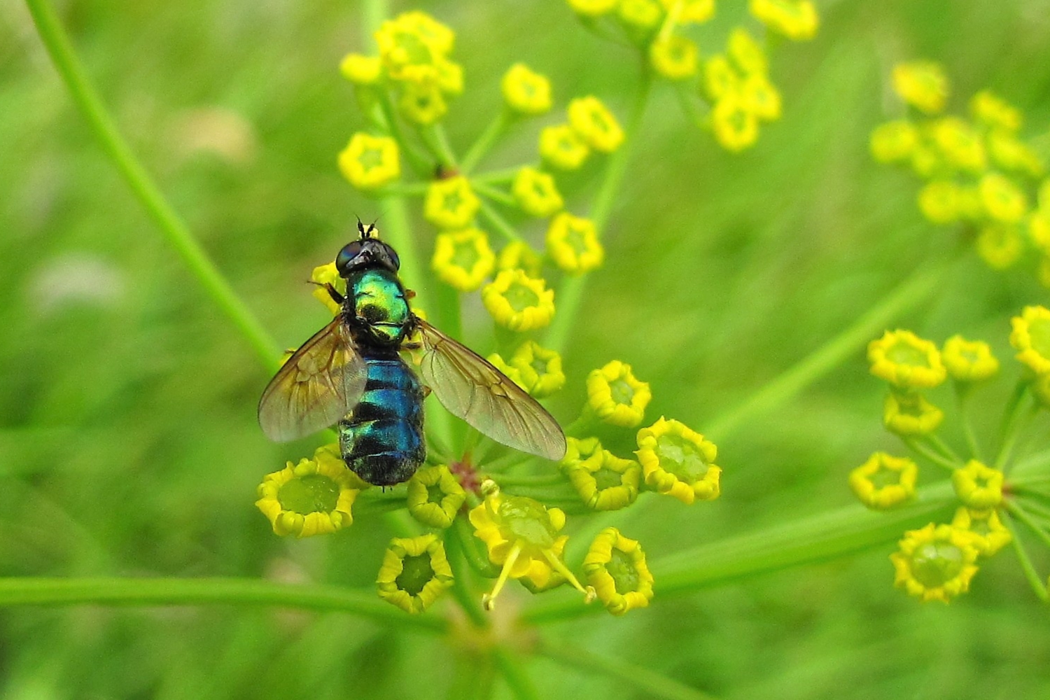 Keinen blassen Schimmer