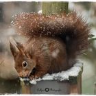 Keinen gelben Schnee essen! 