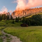 Keinen Rosengarten versprochen bekommen?