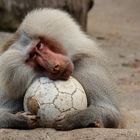 Keiner spielt mit mir Fußball