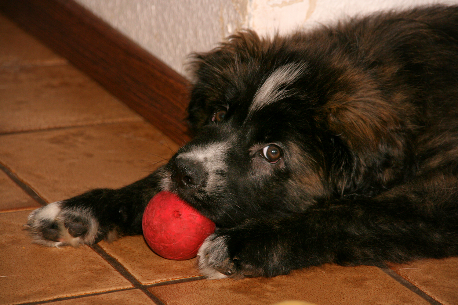 Keiner spielt mit mir..stimmt gar nicht!