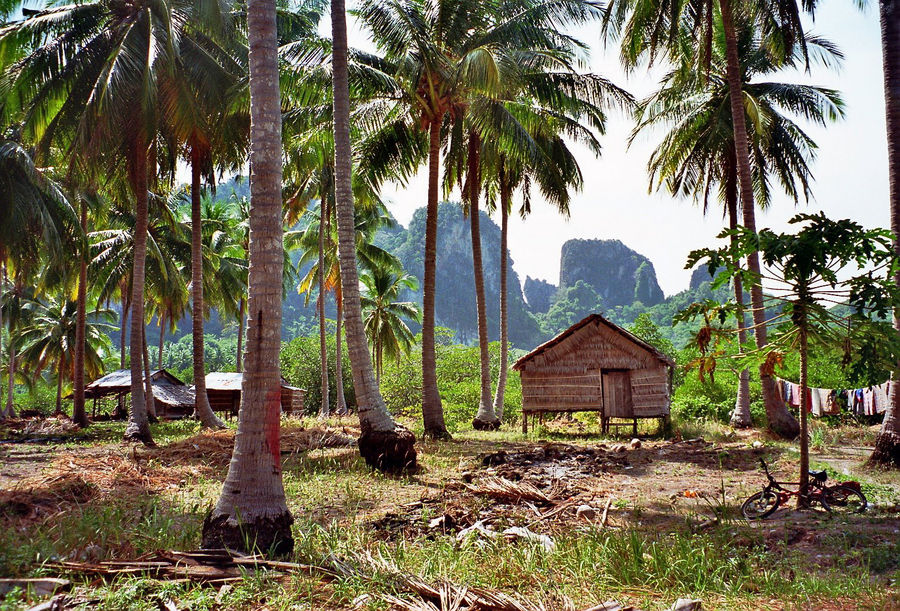 Keiner zu Hause  Phi Phi Island  (analoge Aufnahme)