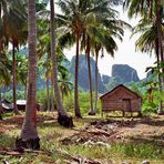 Keiner zu Hause  Phi Phi Island  (analoge Aufnahme)