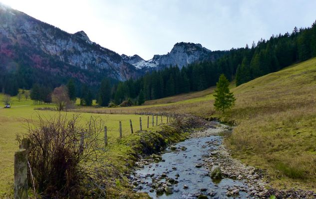 Keiner zu sehen im Wald ...