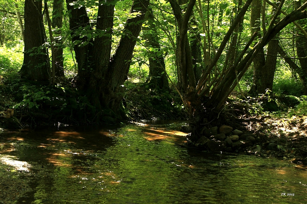 keines Bächlein