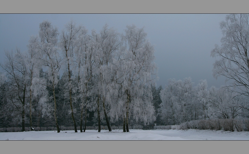 Keine_Sonne_aber...